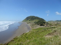p1000057