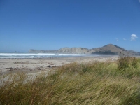 p1000068
